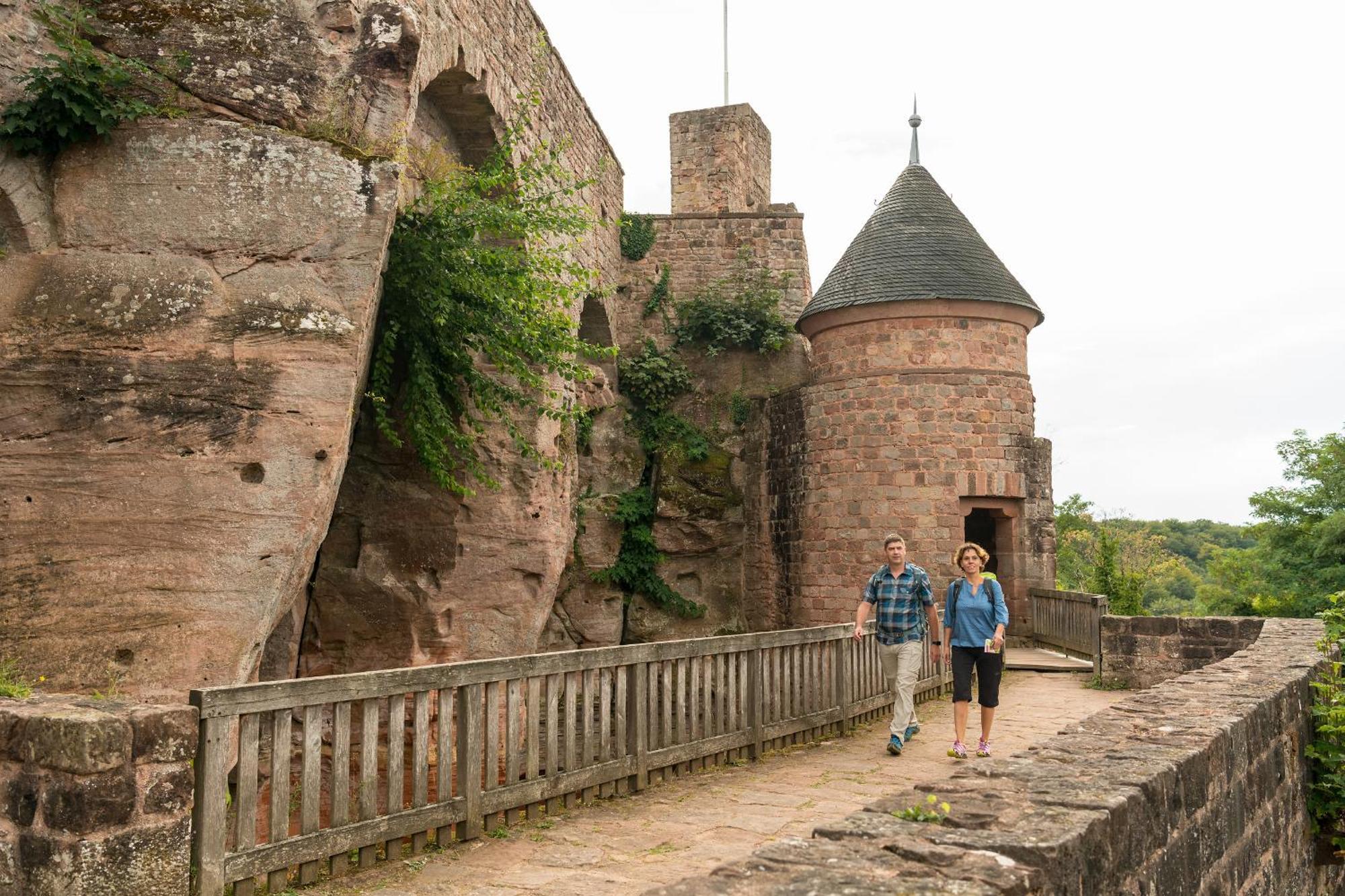 Ferienhaus Storchenblick Bann Exterior foto